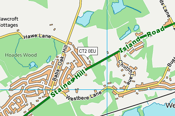 CT2 0EU map - OS VectorMap District (Ordnance Survey)