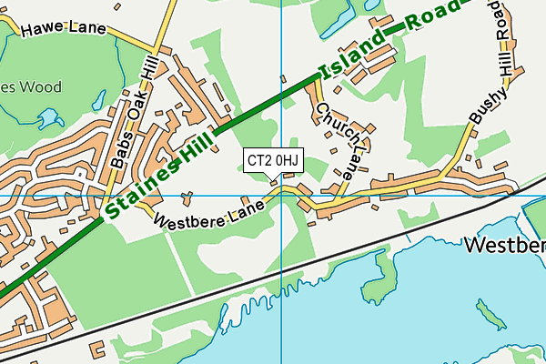 CT2 0HJ map - OS VectorMap District (Ordnance Survey)