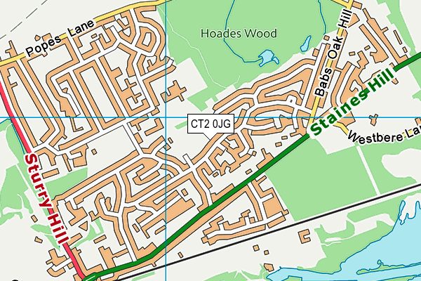 CT2 0JG map - OS VectorMap District (Ordnance Survey)