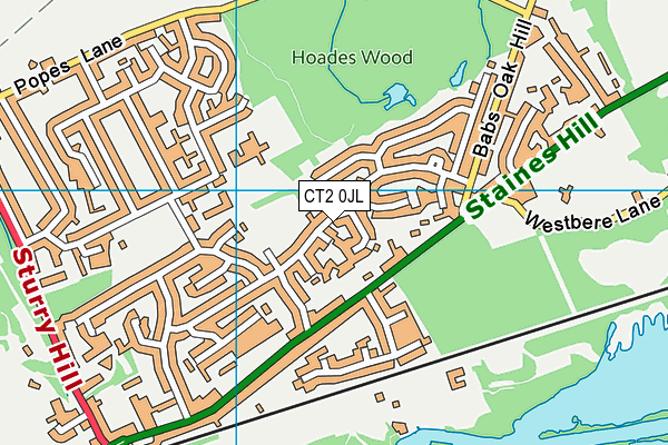 CT2 0JL map - OS VectorMap District (Ordnance Survey)