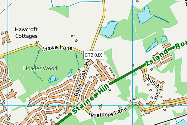 CT2 0JX map - OS VectorMap District (Ordnance Survey)