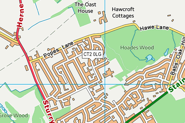 CT2 0LG map - OS VectorMap District (Ordnance Survey)