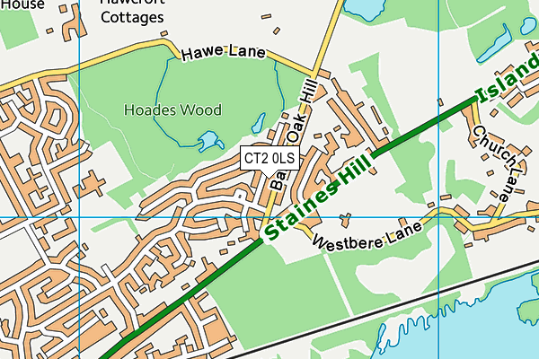 CT2 0LS map - OS VectorMap District (Ordnance Survey)