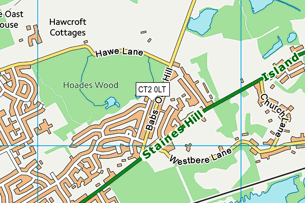 CT2 0LT map - OS VectorMap District (Ordnance Survey)