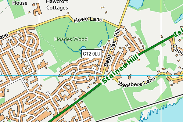 CT2 0LU map - OS VectorMap District (Ordnance Survey)