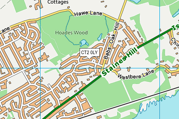 CT2 0LY map - OS VectorMap District (Ordnance Survey)