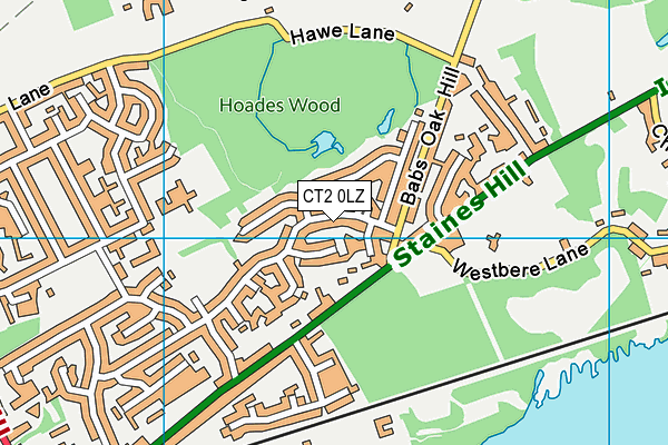 CT2 0LZ map - OS VectorMap District (Ordnance Survey)