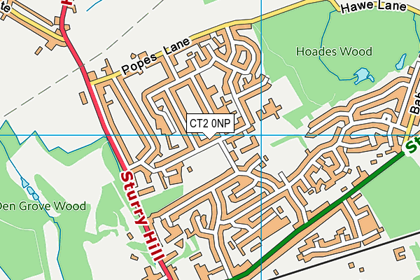 CT2 0NP map - OS VectorMap District (Ordnance Survey)