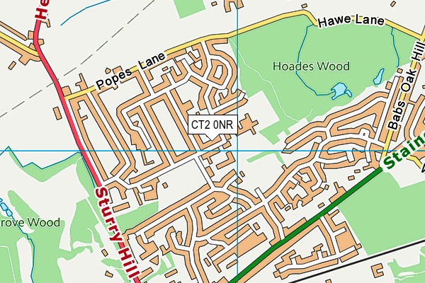 Sturry C Of E Primary School  map (CT2 0NR) - OS VectorMap District (Ordnance Survey)