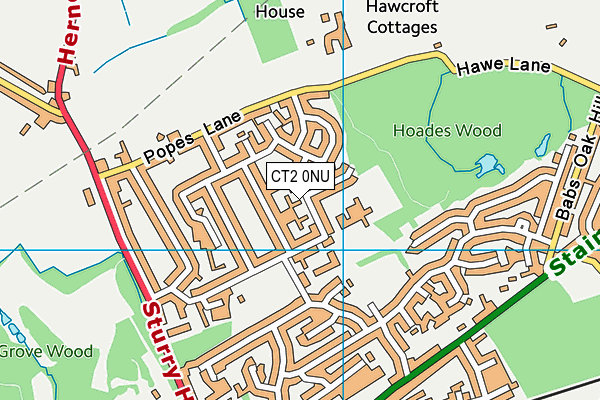 CT2 0NU map - OS VectorMap District (Ordnance Survey)