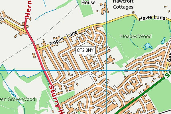 CT2 0NY map - OS VectorMap District (Ordnance Survey)