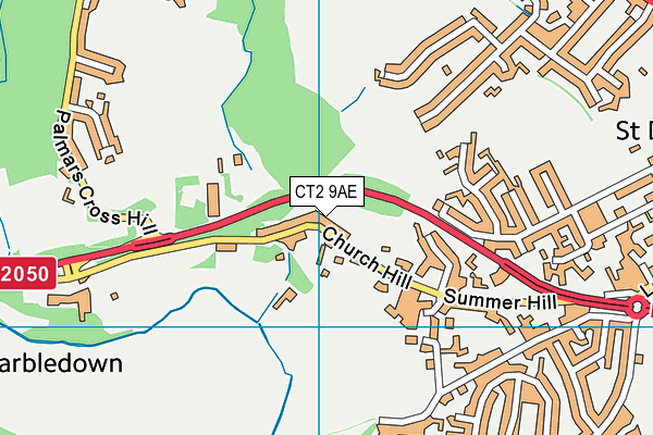 CT2 9AE map - OS VectorMap District (Ordnance Survey)