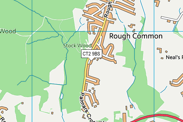 Rough Common Playing Field map (CT2 9BS) - OS VectorMap District (Ordnance Survey)