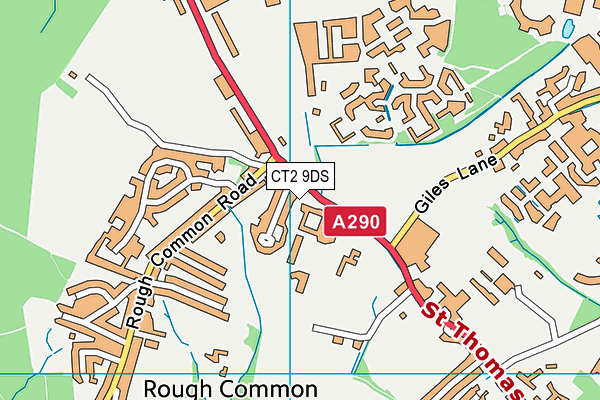 CT2 9DS map - OS VectorMap District (Ordnance Survey)