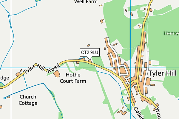 CT2 9LU map - OS VectorMap District (Ordnance Survey)