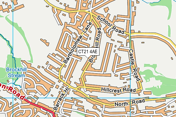 CT21 4AE map - OS VectorMap District (Ordnance Survey)