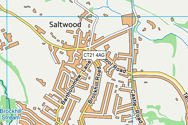 CT21 4AG map - OS VectorMap District (Ordnance Survey)