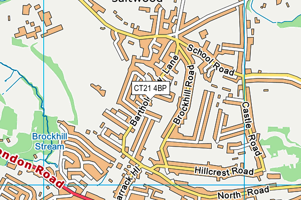 CT21 4BP map - OS VectorMap District (Ordnance Survey)