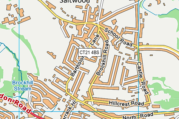 CT21 4BS map - OS VectorMap District (Ordnance Survey)