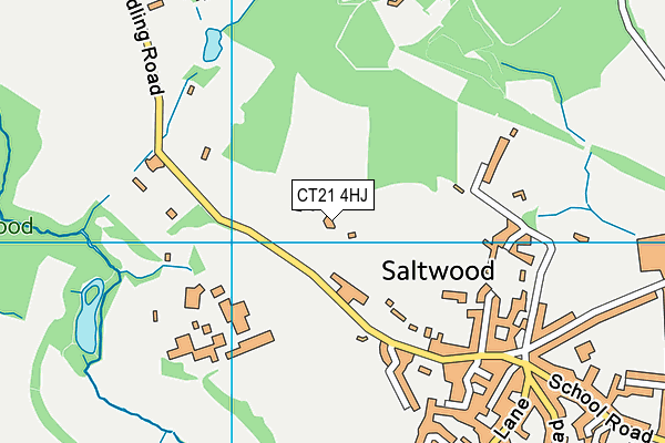 CT21 4HJ map - OS VectorMap District (Ordnance Survey)