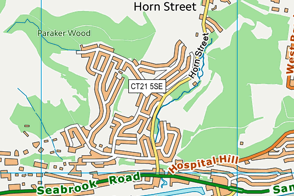 CT21 5SE map - OS VectorMap District (Ordnance Survey)