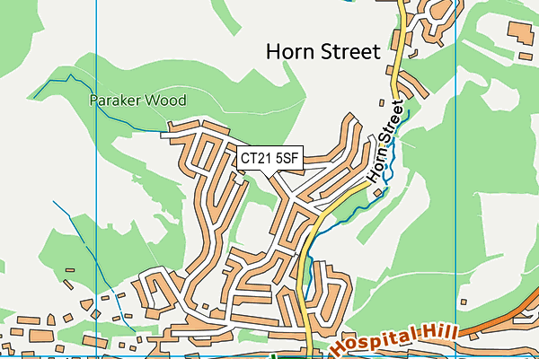 CT21 5SF map - OS VectorMap District (Ordnance Survey)