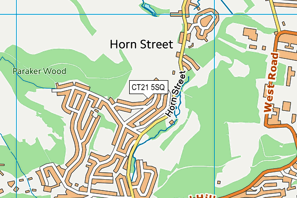 CT21 5SQ map - OS VectorMap District (Ordnance Survey)