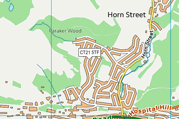 CT21 5TF map - OS VectorMap District (Ordnance Survey)