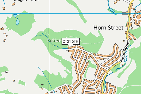 CT21 5TH map - OS VectorMap District (Ordnance Survey)