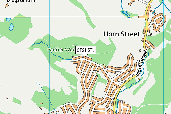 CT21 5TJ map - OS VectorMap District (Ordnance Survey)