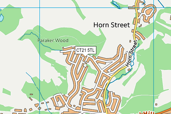 CT21 5TL map - OS VectorMap District (Ordnance Survey)