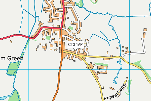 CT3 1AP map - OS VectorMap District (Ordnance Survey)