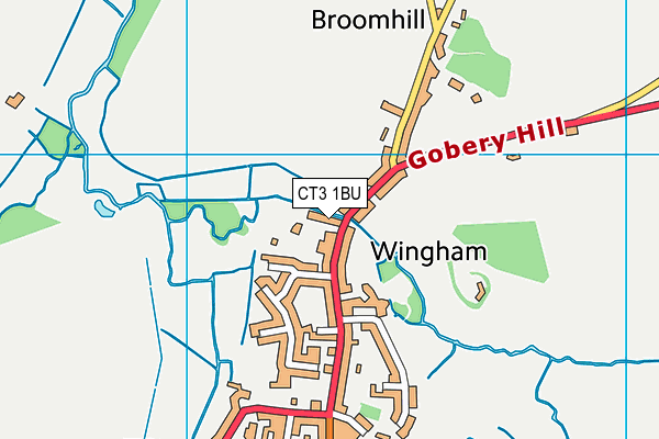 CT3 1BU map - OS VectorMap District (Ordnance Survey)