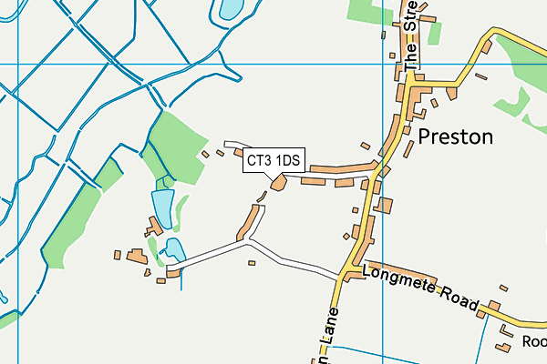 CT3 1DS map - OS VectorMap District (Ordnance Survey)