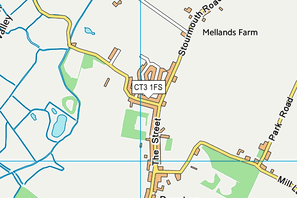 CT3 1FS map - OS VectorMap District (Ordnance Survey)