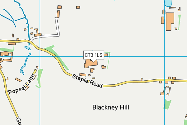 CT3 1LS map - OS VectorMap District (Ordnance Survey)