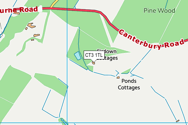 CT3 1TL map - OS VectorMap District (Ordnance Survey)