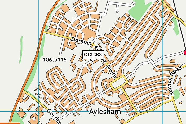 Aylesham Primary School map (CT3 3BS) - OS VectorMap District (Ordnance Survey)