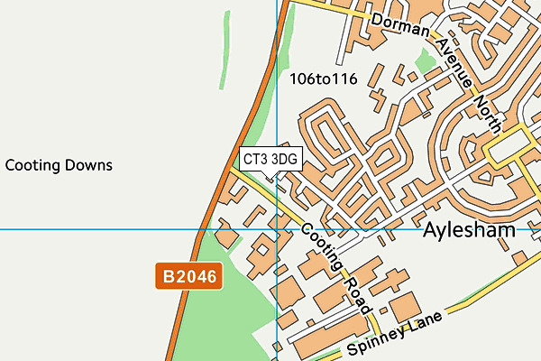 CT3 3DG map - OS VectorMap District (Ordnance Survey)