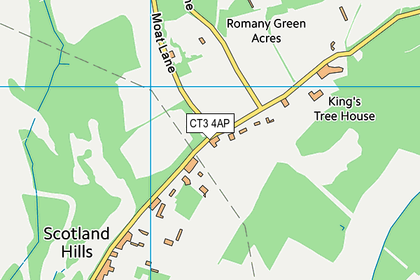 CT3 4AP map - OS VectorMap District (Ordnance Survey)