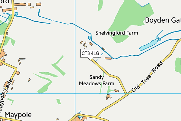 CT3 4LG map - OS VectorMap District (Ordnance Survey)