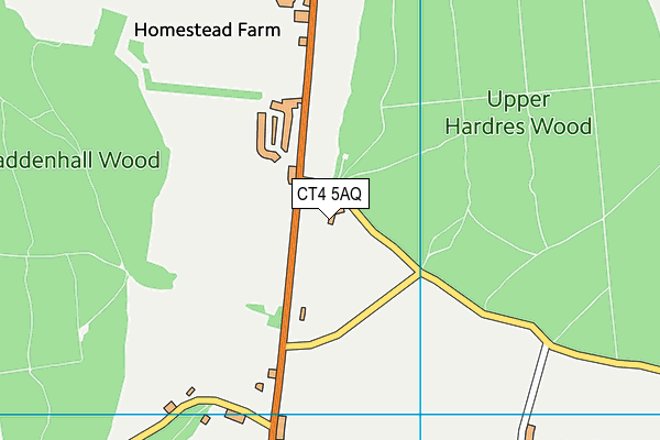 CT4 5AQ map - OS VectorMap District (Ordnance Survey)