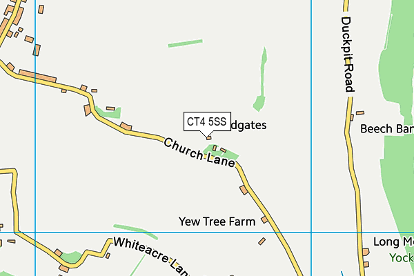 CT4 5SS map - OS VectorMap District (Ordnance Survey)