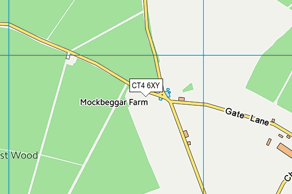 CT4 6XY map - OS VectorMap District (Ordnance Survey)