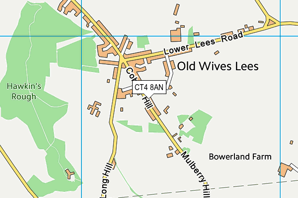 CT4 8AN map - OS VectorMap District (Ordnance Survey)