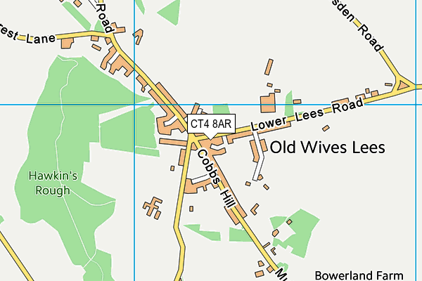 CT4 8AR map - OS VectorMap District (Ordnance Survey)