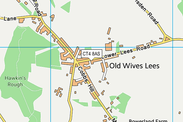 CT4 8AS map - OS VectorMap District (Ordnance Survey)