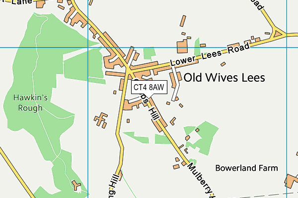 CT4 8AW map - OS VectorMap District (Ordnance Survey)