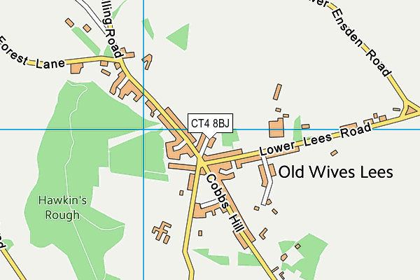 CT4 8BJ map - OS VectorMap District (Ordnance Survey)