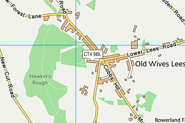 CT4 8BL map - OS VectorMap District (Ordnance Survey)